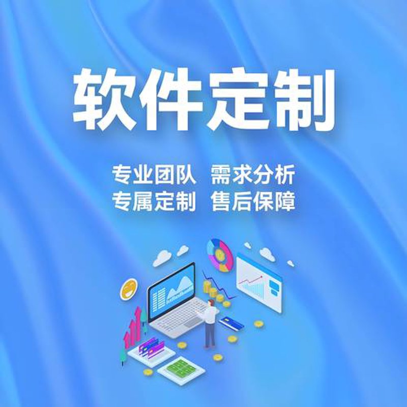 企业系统开发:构建数字时代的商业引擎